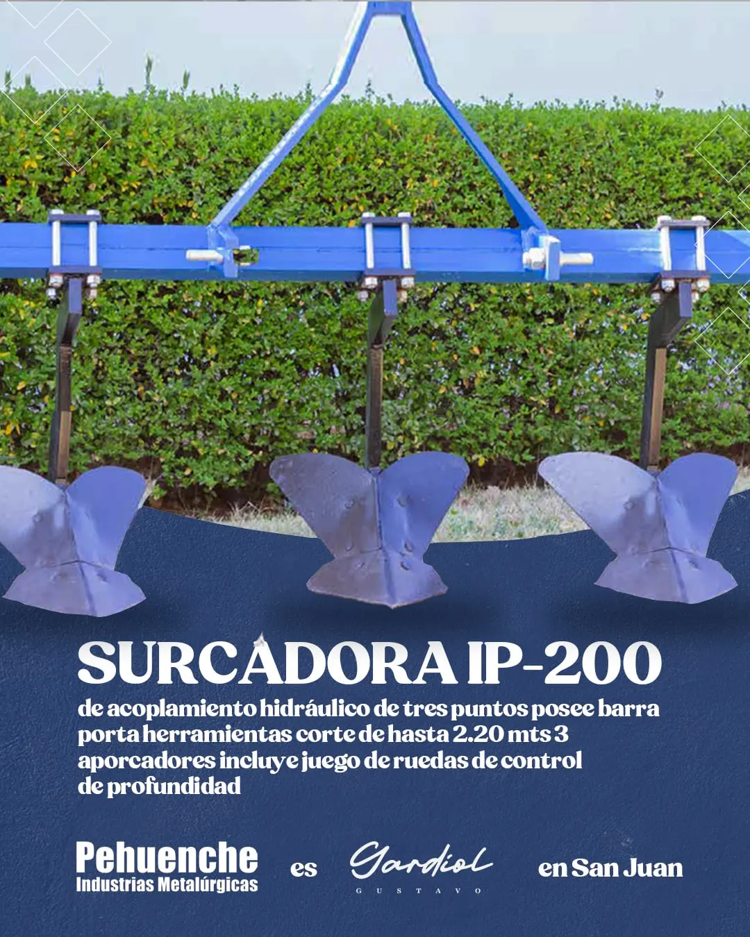 peguenche srl gardiol